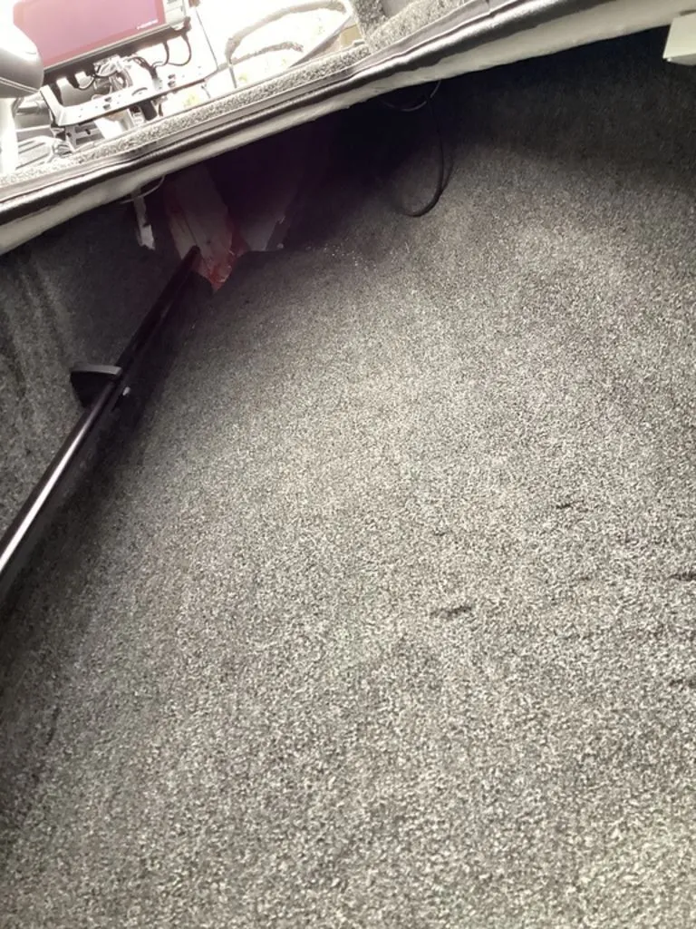 Slide: The Image of Bass Cat Cougar FTD 2026 - 45