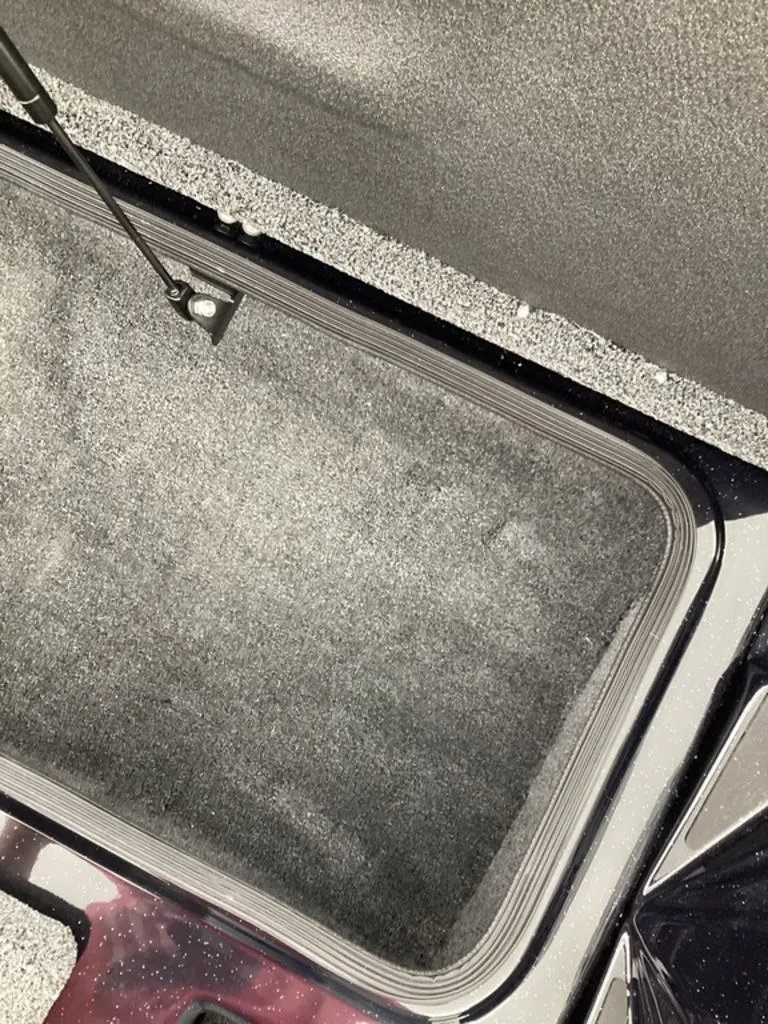 Slide: The Image of Bass Cat Cougar FTD 2026 - 46