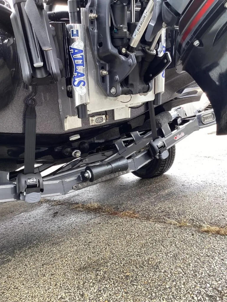 Slide: The Image of Bass Cat Cougar FTD 2026 - 8