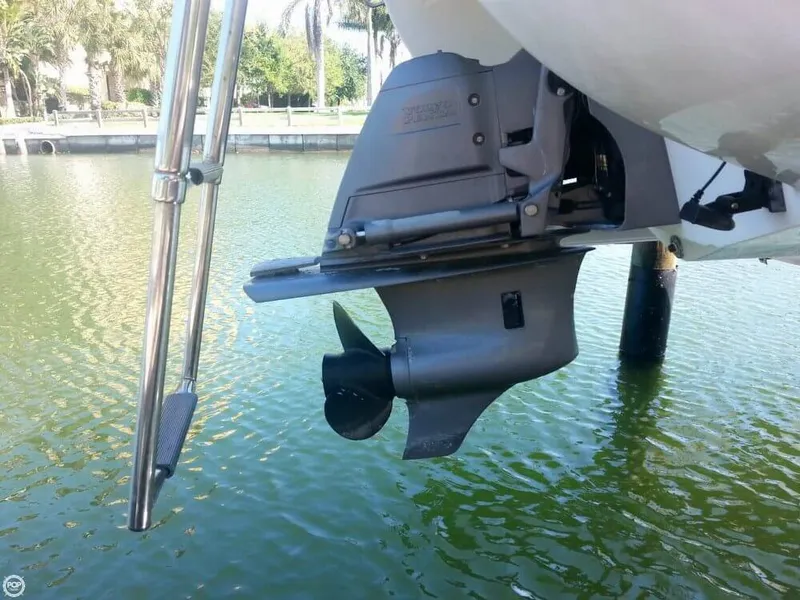 Slide: The Image of Stingray 195LS 2009 - 6