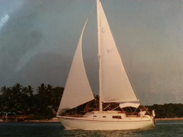 Slide: The Image of CAL 1979 - 0