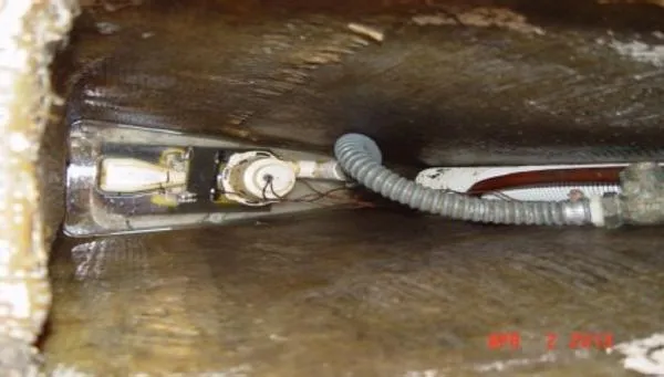 Slide: The Image of CAL 1979 - 10