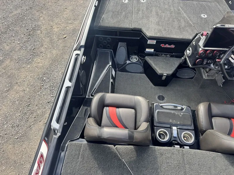 Slide: The Image of Bass Cat Lynx 2019 - 10