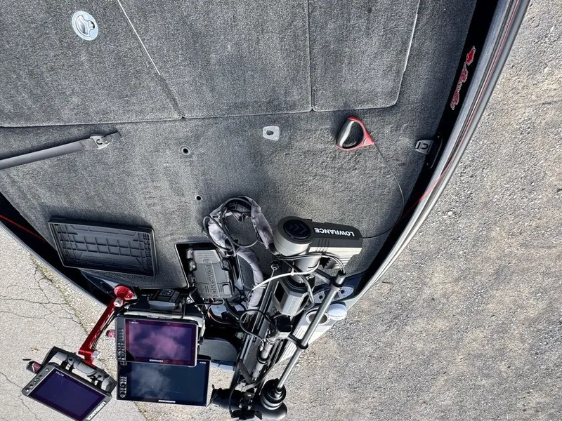 Slide: The Image of Bass Cat Lynx 2019 - 14