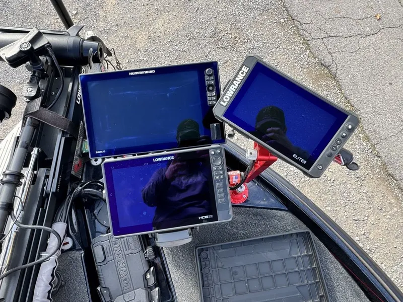 Slide: The Image of Bass Cat Lynx 2019 - 16