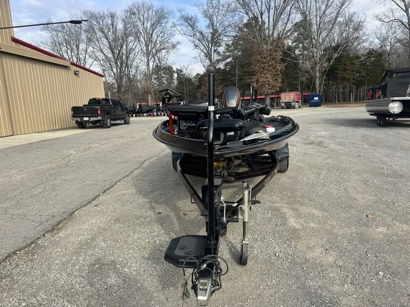 Slide: The Image of Bass Cat Lynx 2019 - 2