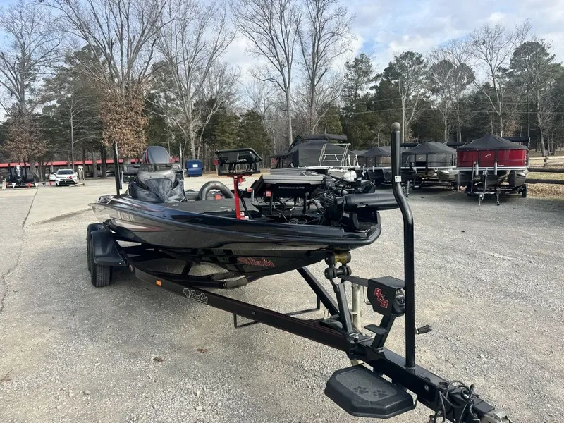 Slide: The Image of Bass Cat Lynx 2019 - 3