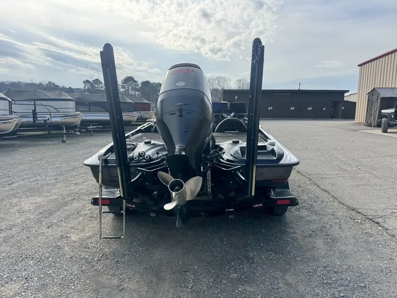 Slide: The Image of Bass Cat Lynx 2019 - 7