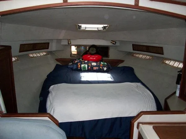 Slide: The Image of Sea Ray 34 Express Cruiser 1986 - 11