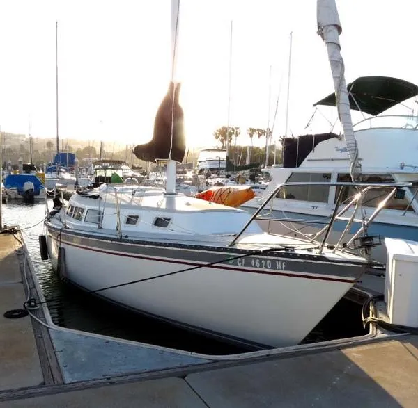 Slide: The Image of Newport 33' Sail 1983 - 0