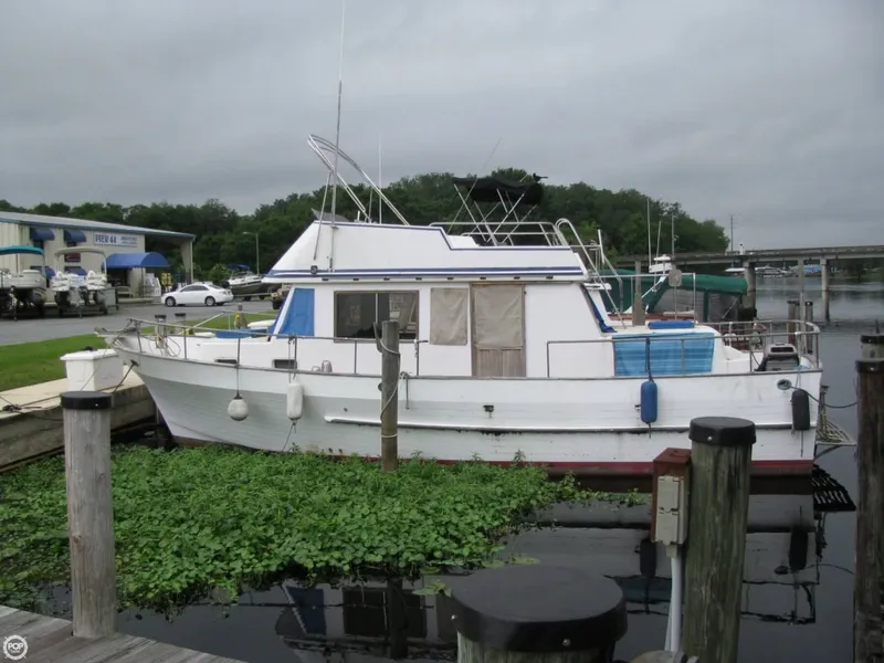 Slide: The Image of Present 38 FT Sundeck 1981 - 1
