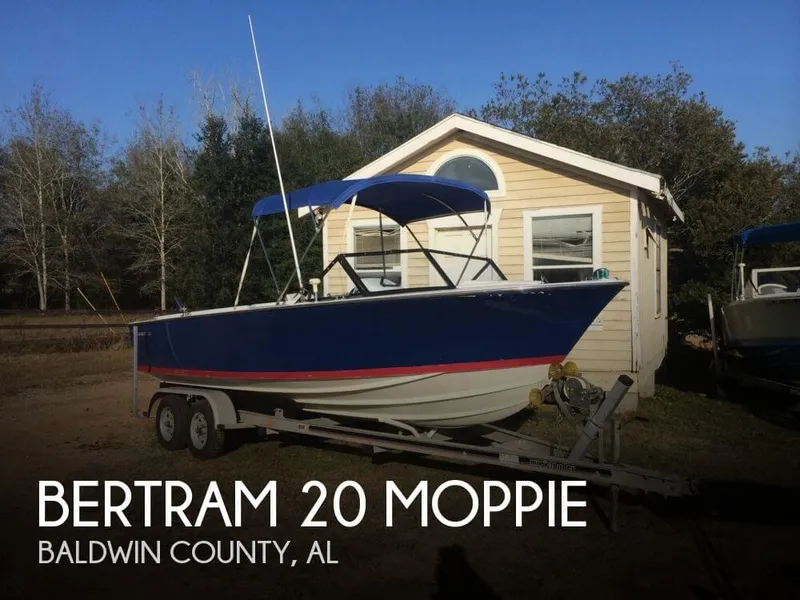 Slide: The Image of Bertram 20 Moppie 1964 - 0