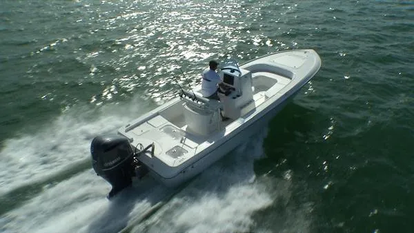 Slide: The Image of Contender 25 Bay 2023 - 3