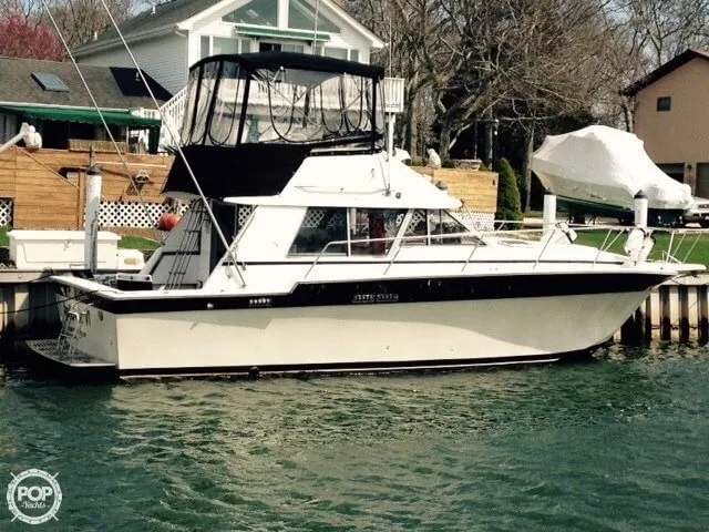 Slide: The Image of Silverton 34 Convertible 1986 - 5