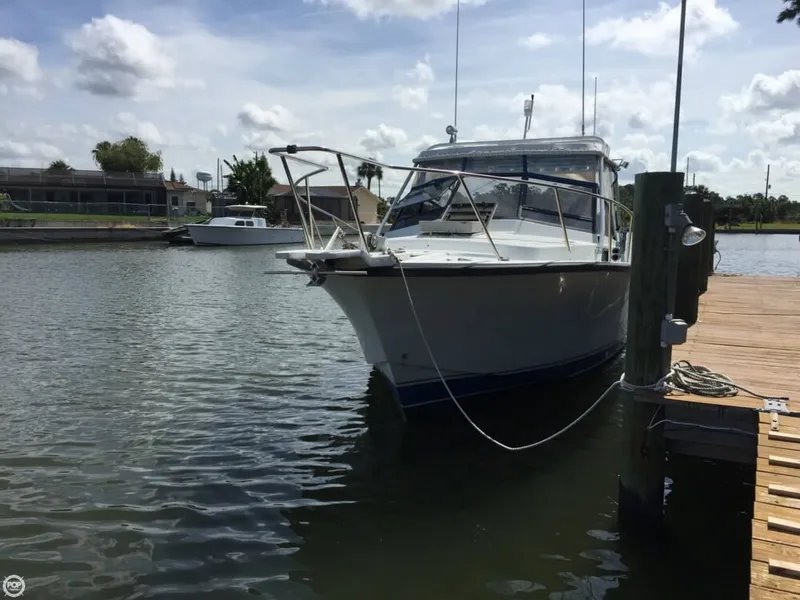 Slide: The Image of Rampage 31 1986 - 1