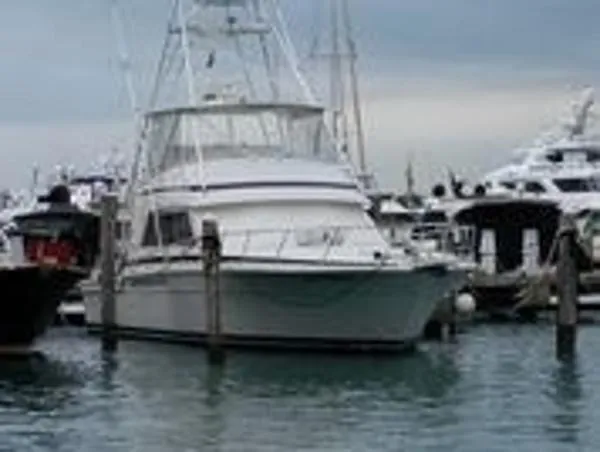Slide: The Image of Bertram 54 Convertible 1999 - 0