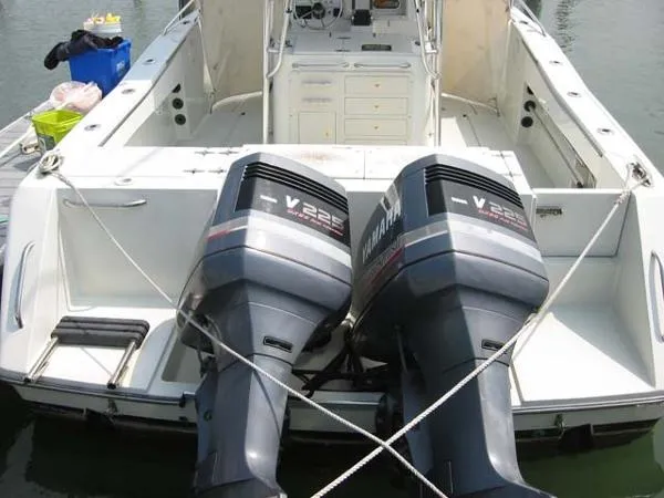 Slide: The Image of Stamas Tarpon 1999 - 11