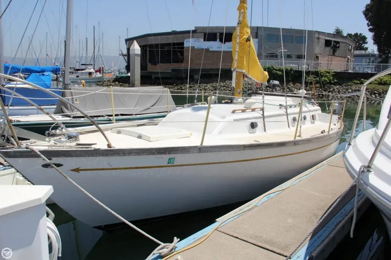 Slide: The Image of Farallon 29 1975 - 2