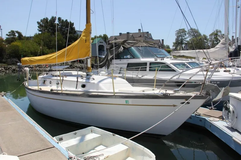 Slide: The Image of Farallon 29 1975 - 3