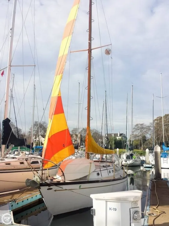 Slide: The Image of Farallon 29 1975 - 4