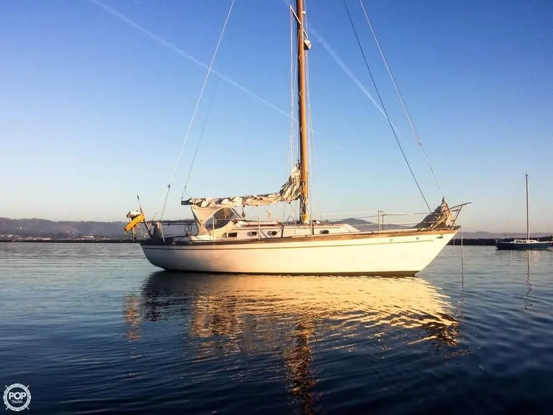 Slide: The Image of Farallon 29 1975 - 5