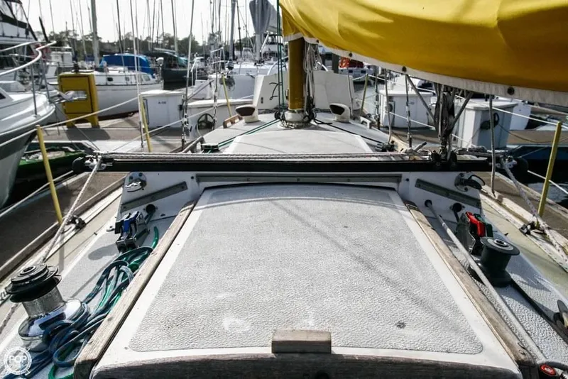 Slide: The Image of Farallon 29 1975 - 9