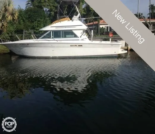 Slide: The Image of Sea Ray 310 Sport Bridge 1992 - 4