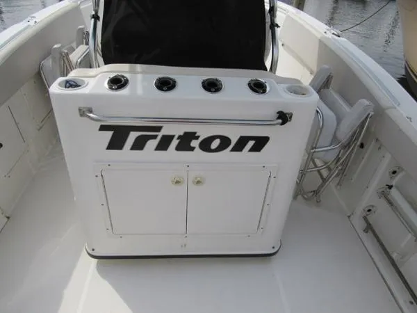 Slide: The Image of Triton 2895 2003 - 8