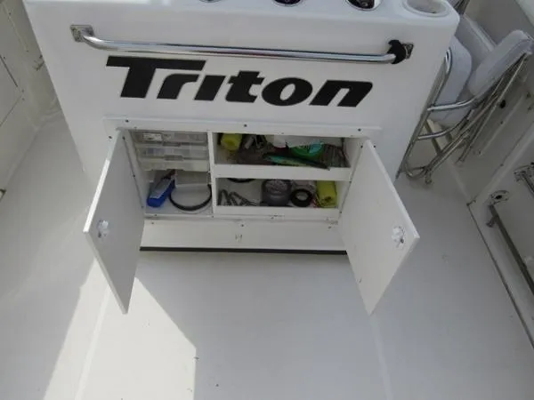 Slide: The Image of Triton 2895 2003 - 9