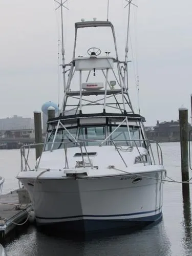 Slide: The Image of Wellcraft COASTAL 1995 - 6