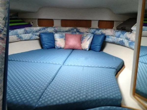 Slide: The Image of Sea Ray Sundancer 1994 - 5