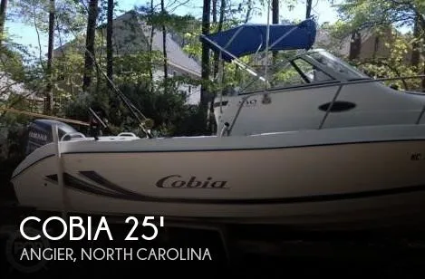 Slide: The Image of Cobia 230 Walkaround 2002 - 0