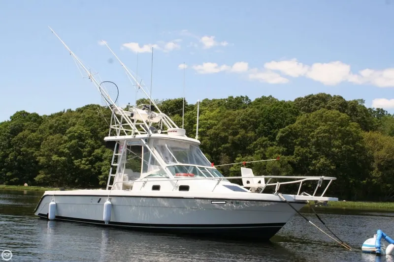 Slide: The Image of Luhrs 300 Tournament 1992 - 5
