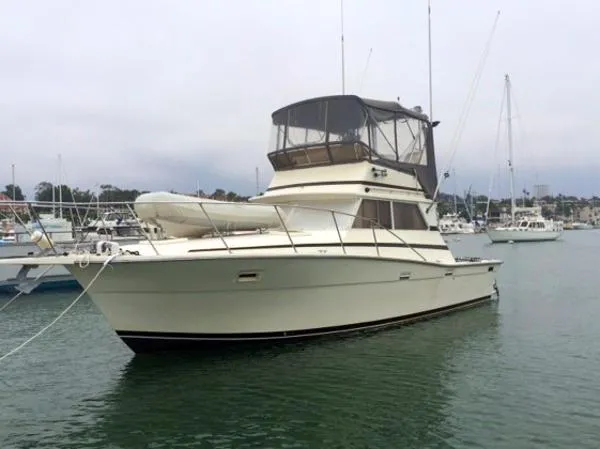 Slide: The Image of Viking 35 Convertible 1981 - 1
