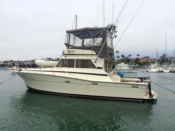 Slide: The Image of Viking 35 Convertible 1981 - 3