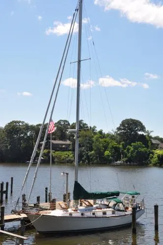 Slide: The Image of Shannon Cutter Rigged 1994 - 0