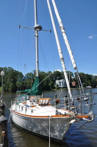 Slide: The Image of Shannon Cutter Rigged 1994 - 1