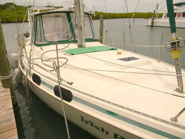 Slide: The Image of Morgan 41 Out Island 1972 - 7