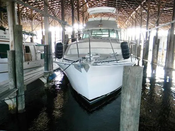 Slide: The Image of Bertram Motor Yacht 1977 - 1