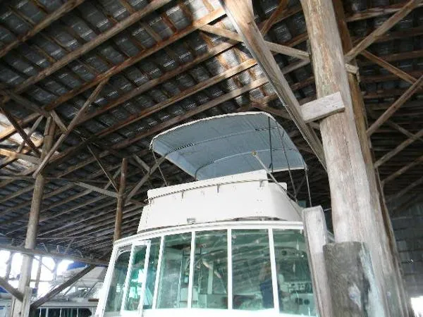 Slide: The Image of Bertram Motor Yacht 1977 - 9