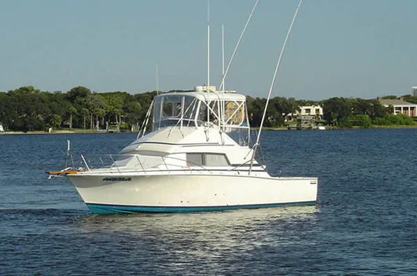 Slide: The Image of Bertram 33 Sport Fisherman 1979 - 0