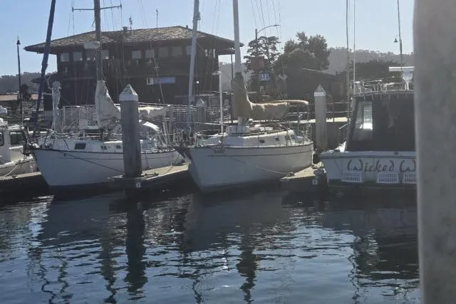 Slide: The Image of Docked sailboats at a marina, featuring a 1980 CAL 39 model. - 19