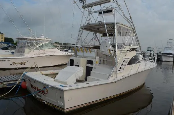Slide: The Image of Canaveral Custom/Delta Express Sportfish 1992 - 5