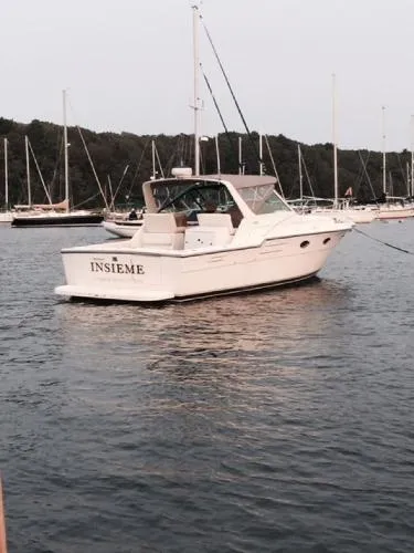 Slide: The Image of Tiara 33 Open 1993 - 2