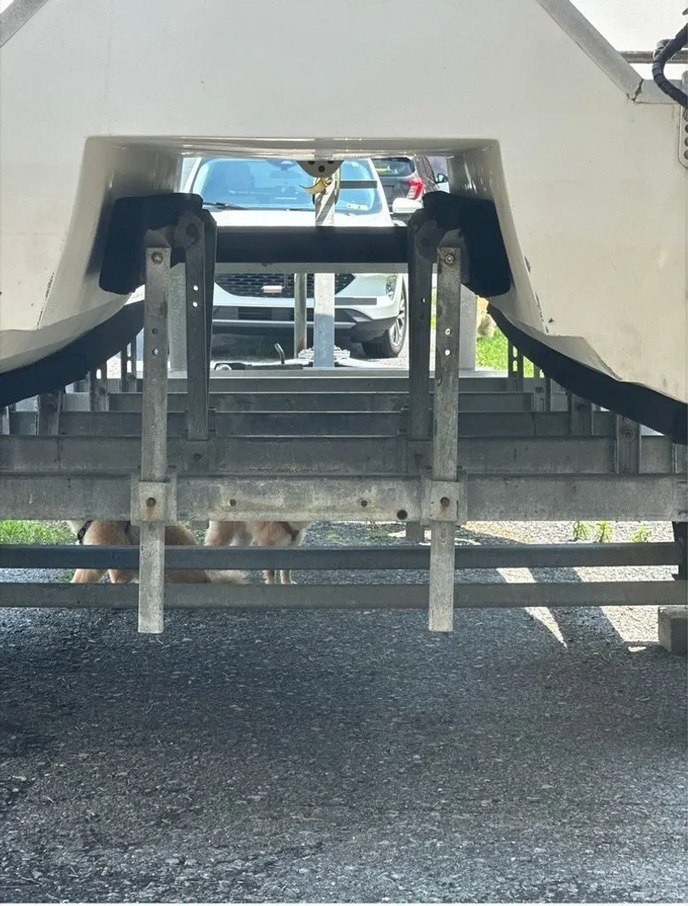 Slide: The Image of Sea Cat SL1/2100 1994 - 33