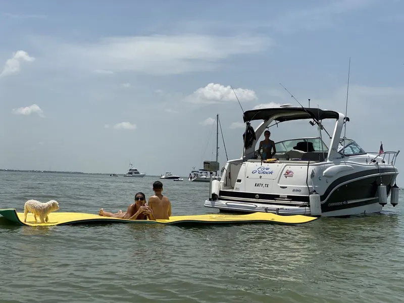 Slide: The Image of Chaparral Signature 290 2013 - 35