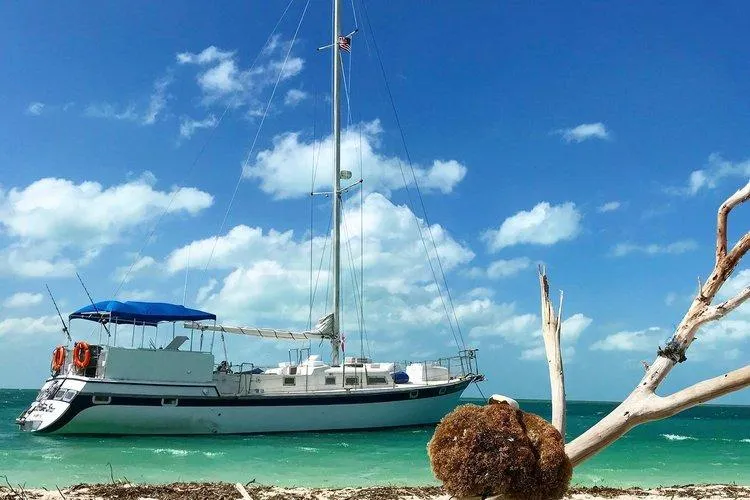 The Image of 1984 Wellington 57 Sloop anchored near a beach with clear skies and turquoise waters. - 0