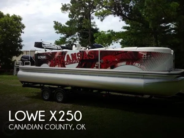 Slide: The Image of Lowe X250 2013 - 0