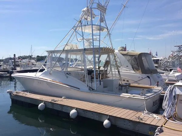 Slide: The Image of Egg Harbor Predator 35 2003 - 1