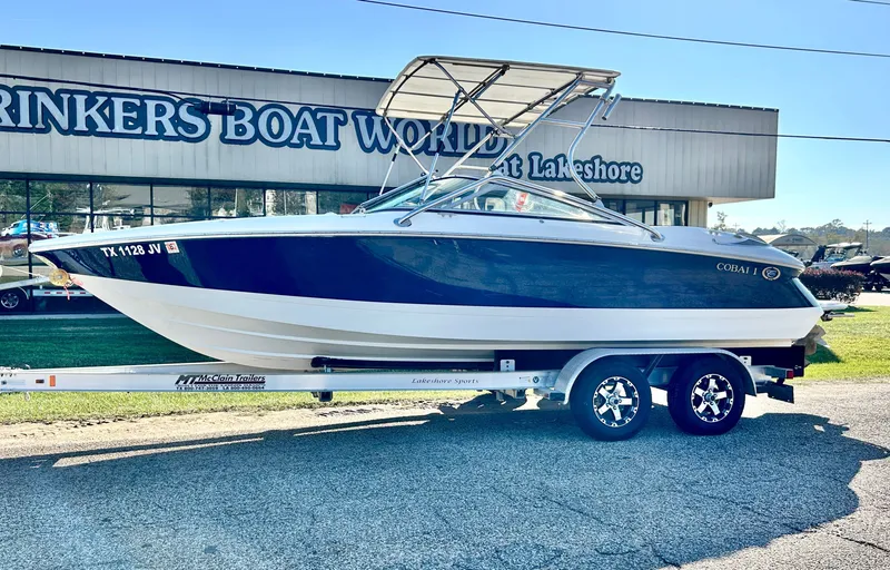 The Image of Cobalt 220 2003 - 1